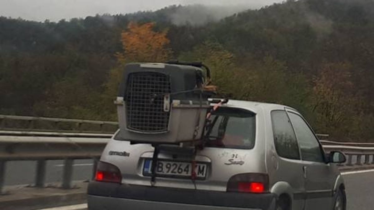 Само в БЛИЦ! Ужасяваща сцена на АМ "Хемус"! (СНИМКИ)