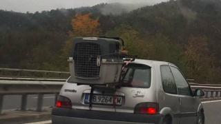 Само в БЛИЦ! Ужасяваща сцена на АМ "Хемус"! (СНИМКИ)