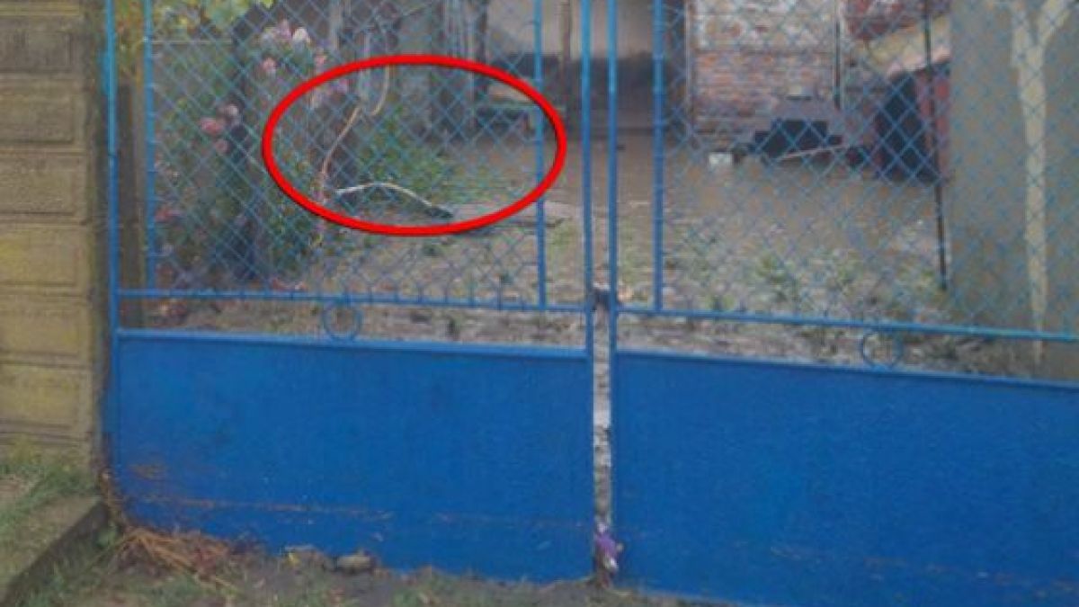 Аутопсия разкри как е починала 80-годишната Донка от Равнец, намерена в блато след стихията в Бургаско