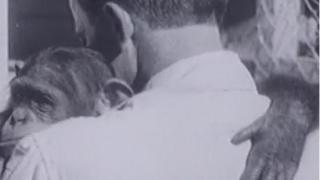 7 факта как един съветски учен кръстосва хора с маймуни (СНИМКИ)