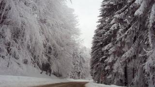 Всеки шофьор задължително да прочете това! 