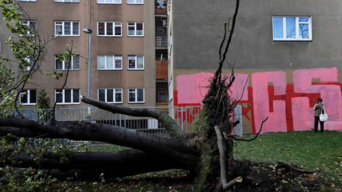 В Централна Европа е страшно, петима вече загубиха животите си
