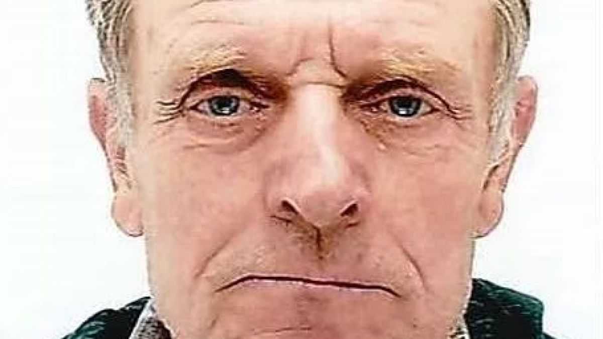 Възрастен австриец, прочул се с надписа Хайл Хитлер на минивана си, разстреля съседите си и се скри в гората 