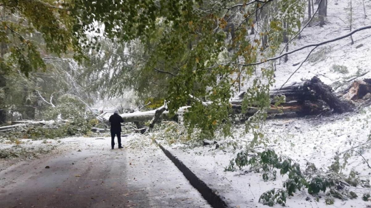 Апокалиптично студената прогноза се сбъдна: Не излизайте и не пътувайте - ще става и по-страшно!