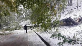 Апокалиптично студената прогноза се сбъдна: Не излизайте и не пътувайте - ще става и по-страшно!