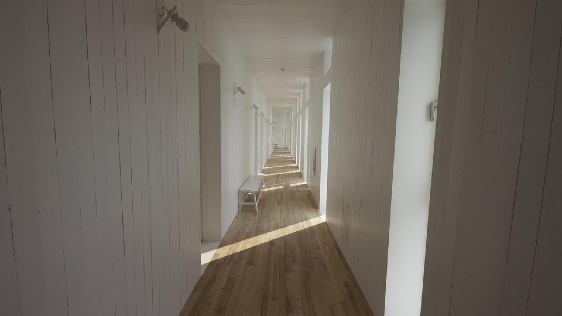 Тези вещи носят безпаричие и болести, изхвърлете ги от дома си