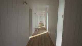 Тези вещи носят безпаричие и болести, изхвърлете ги от дома си