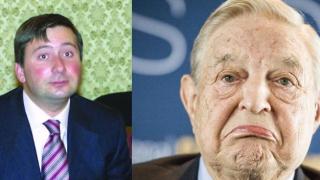 Къде зимуват соросоидите?