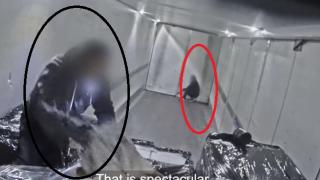 Шокиращо ВИДЕО от кротка и охолна Швеция: Така виртуозни бандити грабят ТИР-ове на пълна скорост