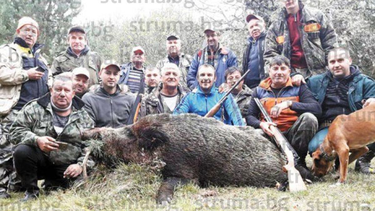 Предприемач от Струмяни се сдоби с нов, 220-килограмов трофей (СНИМКИ)