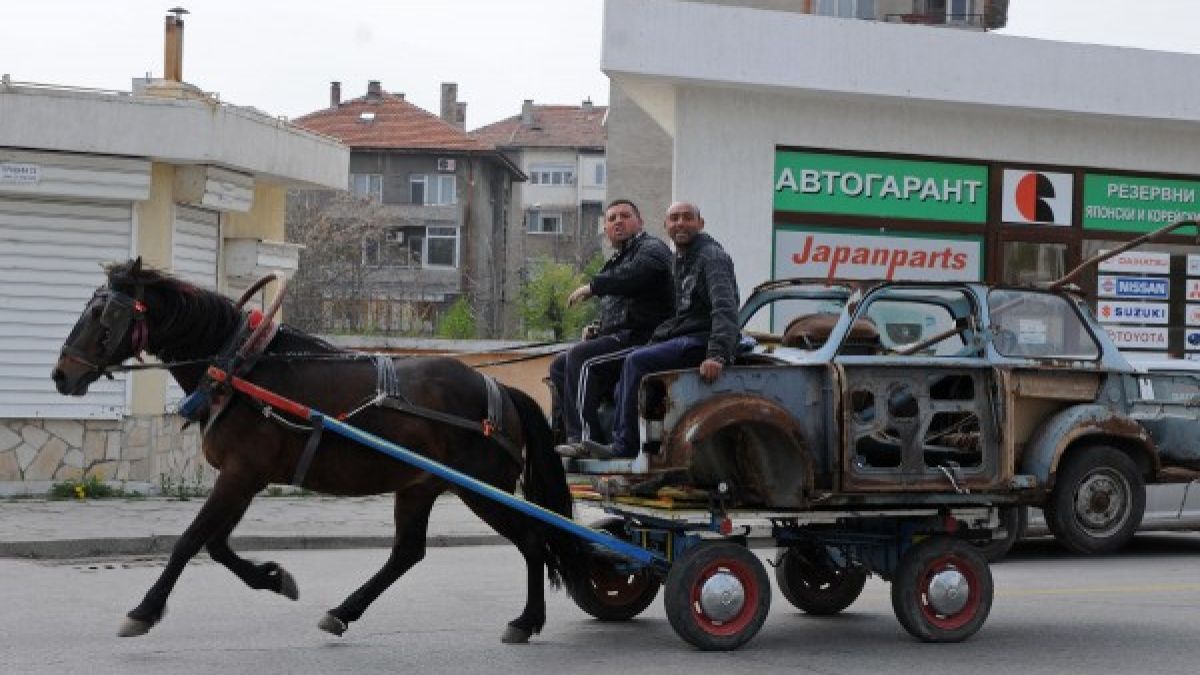 Веганите скочиха на каруците, не били етични 