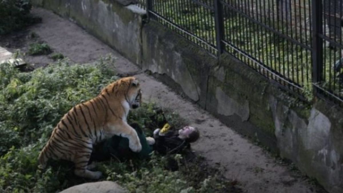 Ужасяваща СНИМКА: Тигър нападна жена в зоопарк, последствията са шокиращи!