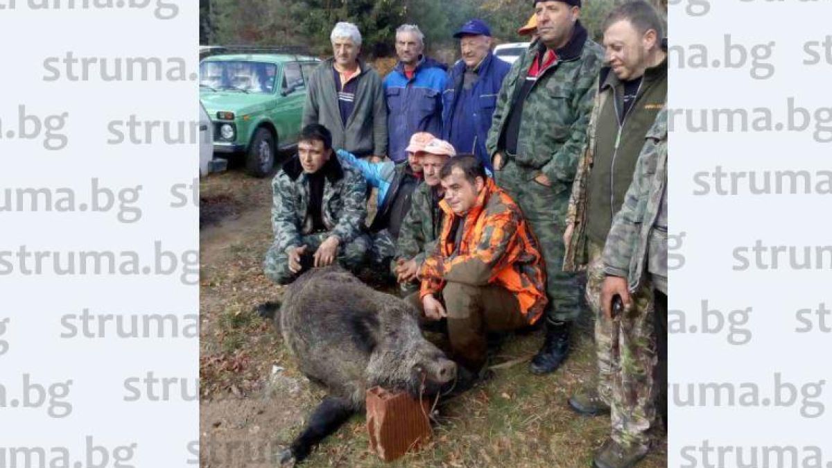 Убиха страшилището на Малешевска планина (СНИМКИ)