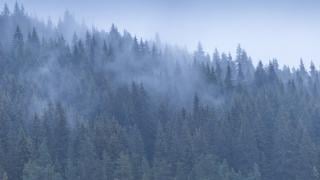 Мощен циклон със сняг и опасни поледици удря страната, издадено е предупреждение