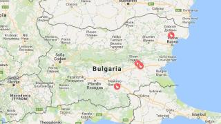 Близо 90 хил. птици са унищожени заради констатираните 4 огнища на инфлуенца