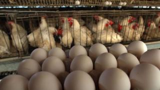 Кошмар за българина преди празниците - яйцата на пазара станаха златни