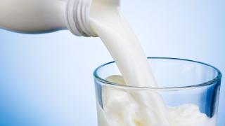 Внимание! Млякото от магазина е много опасно