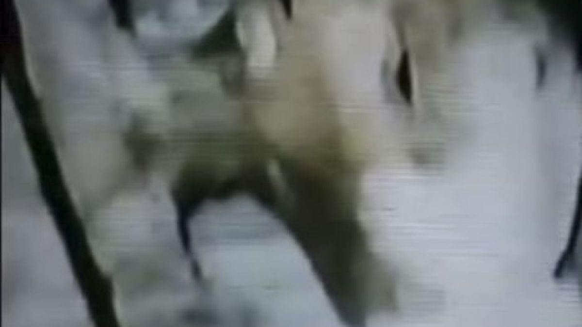 Загадъчно ВИДЕО с труп на извънземно разбуни духовете в мрежата 