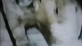 Загадъчно ВИДЕО с труп на извънземно разбуни духовете в мрежата 
