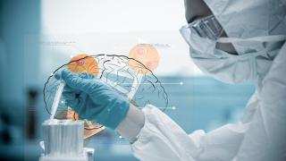 Наши учени разработват препарат за лечение на автоимунни заболявания