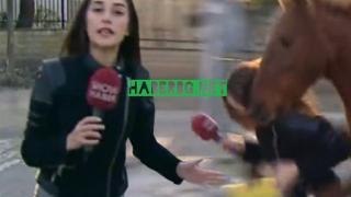 Да се смееш или да плачеш? Гиздавата репортерка Юзге изживя тотален кошмар (СНИМКИ/ВИДЕО)