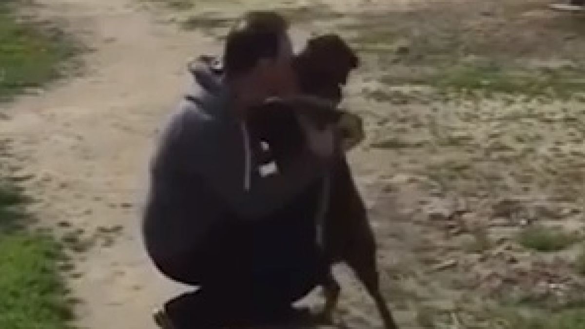 Трогателно ВИДЕО от среща на куче и стопанин след дълга раздяла докосна потребителите