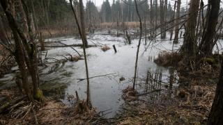 Уникално: Мъж реши да се изкъпе в блато, но не забеляза, че то е замръзнало (ВИДЕО)