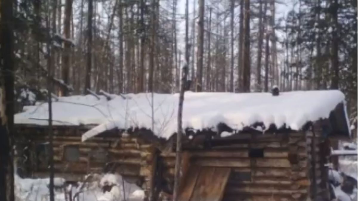 Велика авджийска история за ловец и мечка, но истинска (ВИДЕО)