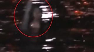 Русалка с голяма сива ръка нападна момиче в морето (ВИДЕО)