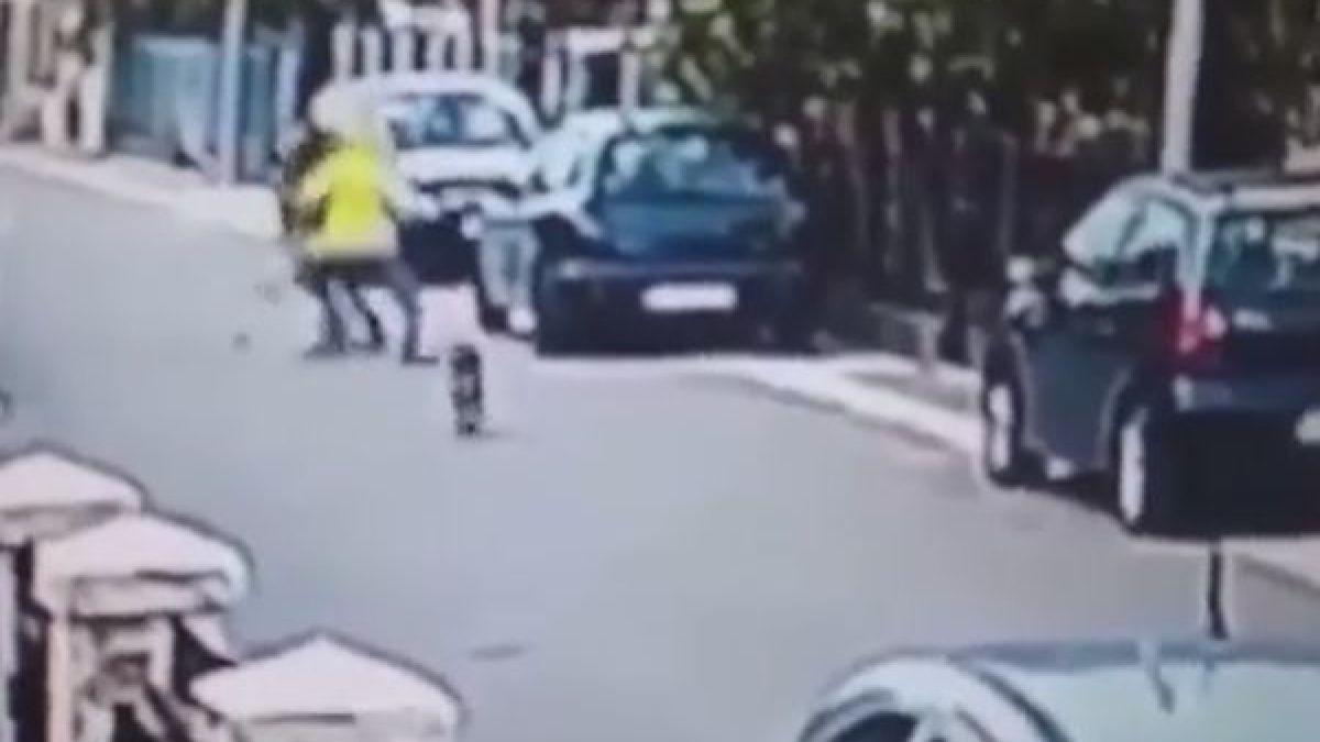 Ще ви падне ченето, когато видите какво прави това куче-герой! (ВИДЕО)