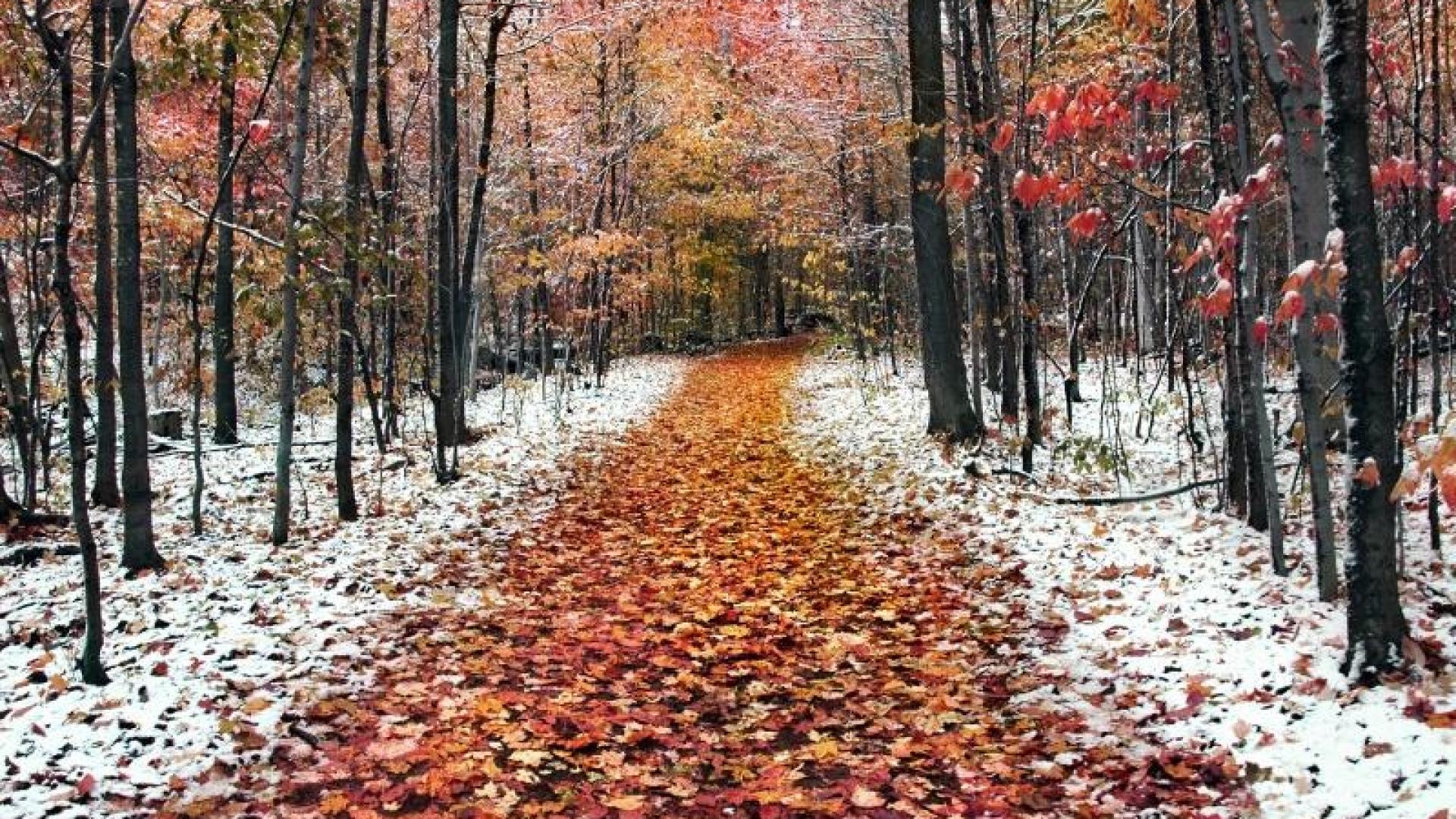 Дежурният синоптик на НИМХ към БАН Анна Дякова прогнозира завръщане на есента 