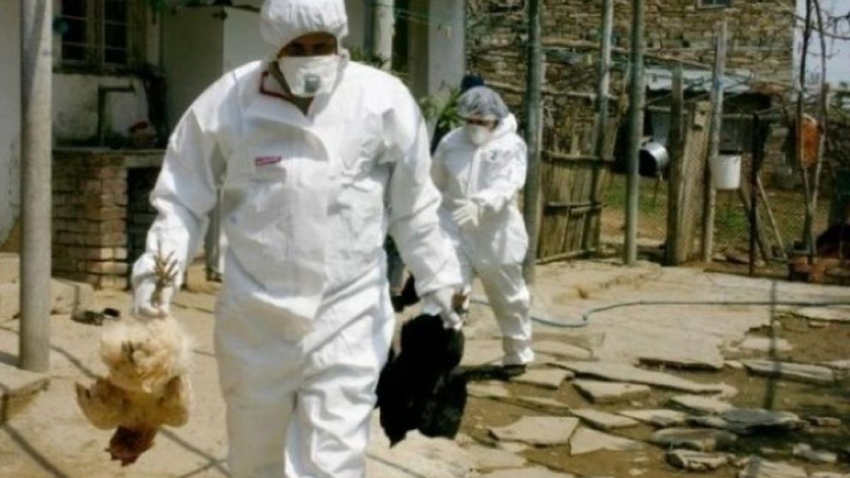 Първи случай на птичи грип за годината е открит във ферма в Раковски