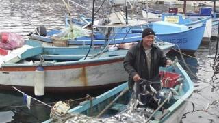 Шок! Морето не дава риба за Никулден, риболовците правят празничния курбан със...