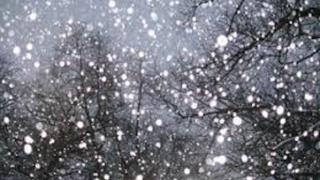 Сняг на парцали се сипе над София! През целия ден ли ще е така?