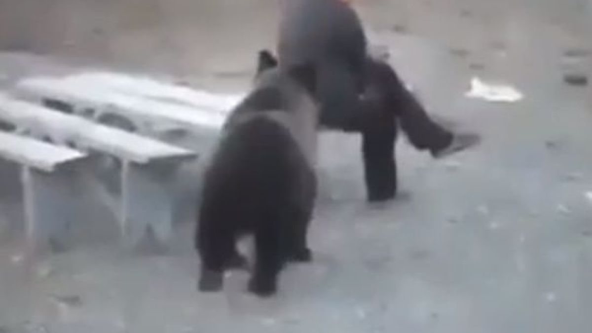 Смразяващо ВИДЕО: Руснак изгони мечка само с един поглед