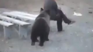 Смразяващо ВИДЕО: Руснак изгони мечка само с един поглед
