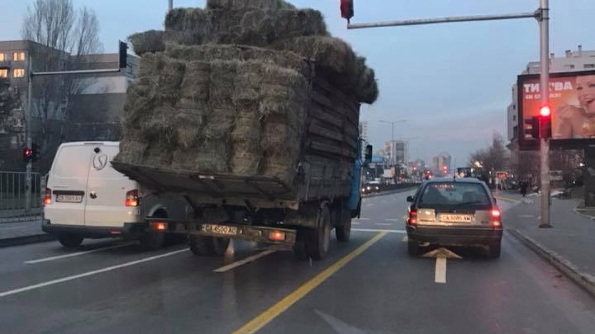 Фейсбук гърми! Какво се случва през последните 24 часа, че София заприлича на село (СНИМКИ)
