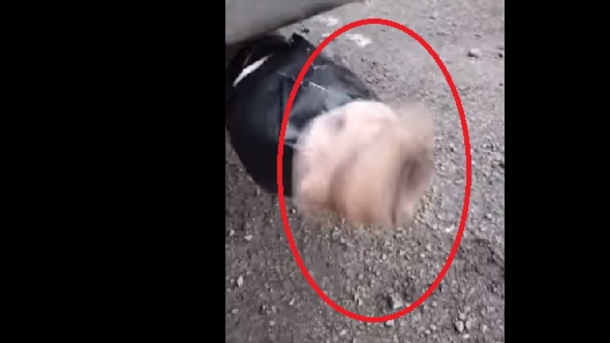 Рекорд! Това ВИДЕО с вагина са го гледали над 22 милиона за 5 дни