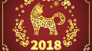 Какво ни чака през 2018-а: Годината на Жълтото земно куче