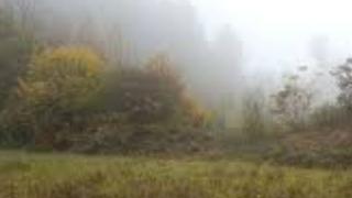 Ловци се натъкнаха на ужасяваща находка в гората на разградско село