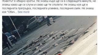 Зимата се върна! Едри бели парцали заваляха над София (СНИМКИ/ВИДЕО)