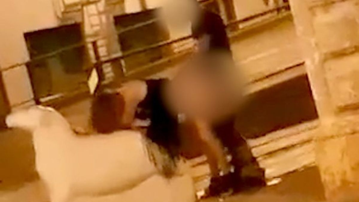 Двойка любовчии се посвети на секс в центъра на град и шокира смаяните очевидци (СНИМКИ/ВИДЕО 18+)
