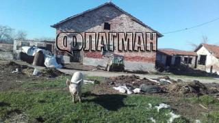 Шокиращо! Стана ясно кой месарски бос е разпространил трихинелозата в Бургаско, продадени са десетки килограми заразна луканка 