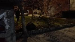 Варненци се паникьосаха заради "труп" на мъж, който обаче изведнъж се размърда и седна (СНИМКИ)