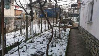 Нещо безумно красиво се случи край Кърджали (СНИМКИ)