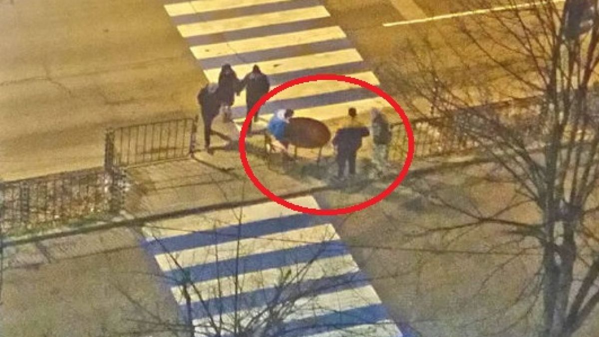 Шаш в Хасково: Какво правят тези коледари насред пешеходната пътека?!