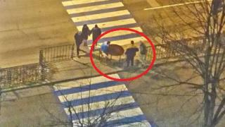 Шаш в Хасково: Какво правят тези коледари насред пешеходната пътека?!