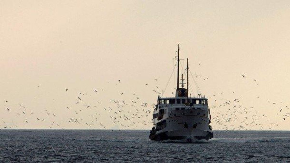 Двайсет и пет души пострадаха при удар на кораб в мост на река Рейн