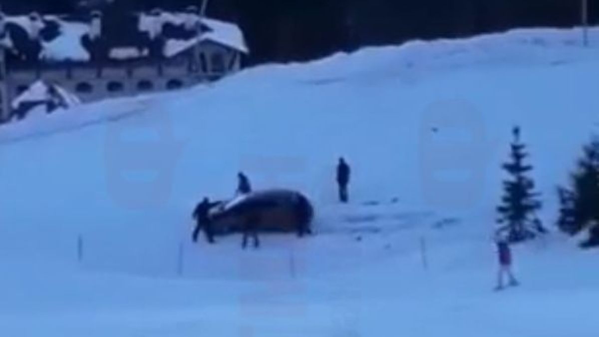 Пълен потрес на писта в Пампорово, за тази случка ще се говори дълго (ВИДЕО)