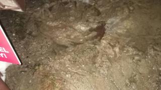 Гнусно! Това, в което газят всички туристи в Боровец, е потресаващо! Скандалът е огромен! (СНИМКИ)